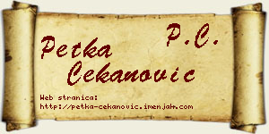 Petka Čekanović vizit kartica